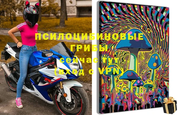 твердый Дмитров