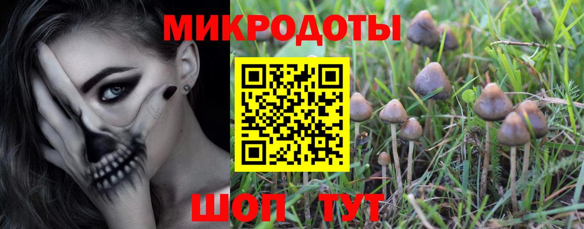 Галлюциногенные грибы Psilocybine cubensis  Гурьевск  купить наркоту  Галлюциногенные грибы Psilocybe 