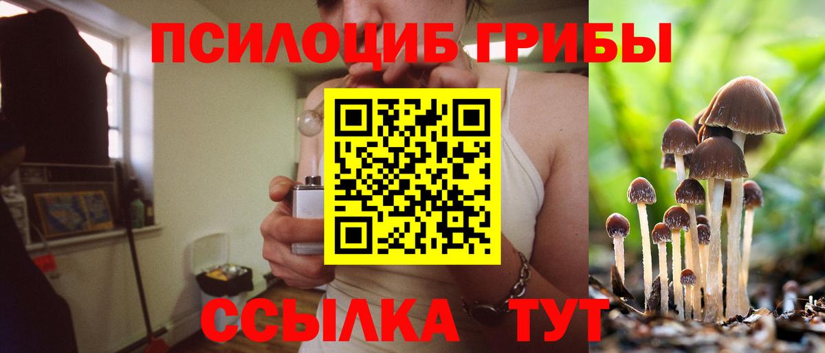 Псилоцибиновые грибы MAGIC MUSHROOMS Гурьевск